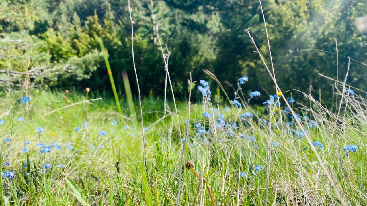 Eco Village Pavlovic Žabljak エクステリア 写真
