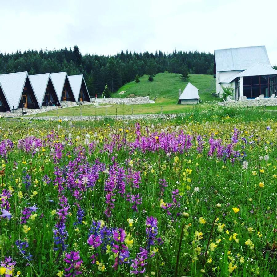 Eco Village Pavlovic Žabljak エクステリア 写真