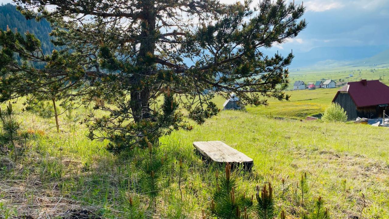 Eco Village Pavlovic Žabljak エクステリア 写真