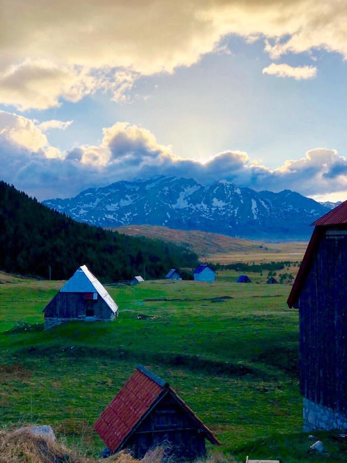 Eco Village Pavlovic Žabljak エクステリア 写真